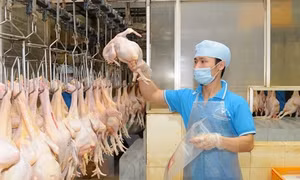 Dự báo không thiếu nguồn cung rau, thịt dịp Tết Nguyên đán
