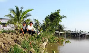 Những phong trào của dân và vì dân