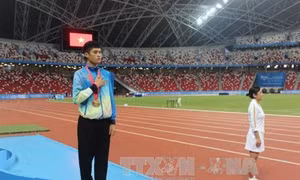 Đoàn Thể thao Việt Nam phá 16 kỷ lục ở ASEAN Paragames 8
