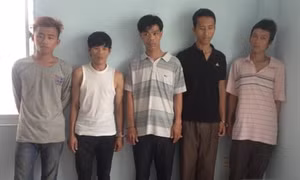 Triệt phá hai băng trộm cướp nguy hiểm vùng ngoại ô TP.HCM
