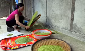 Đặc sản cốm Tú Lệ