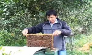 Anh Thắng làm kinh tế giỏi