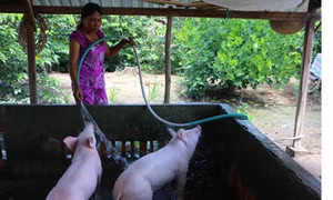 Hỗ trợ nông dân Khmer thoát nghèo