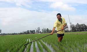 Xây dựng nông thôn mới ở Thuận Hòa