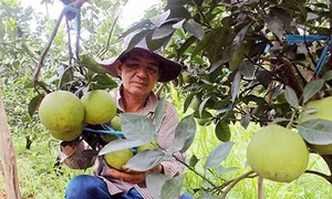 Đi lên từ thế mạnh