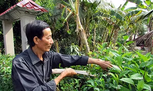 Thay đổi cảnh quan môi trường từ ý thức tự giác của người dân