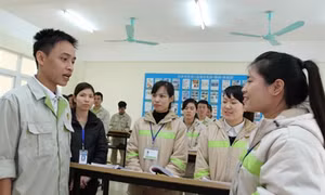 Dấu hiệu lừa đảo tuyển điều dưỡng, hộ lý sang Nhật