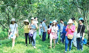 Du lịch đường sông gắn với di tích văn hóa- lịch sử