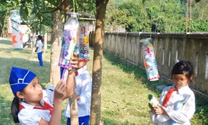 Thư viện trên cây độc đáo tại Quảng Trị