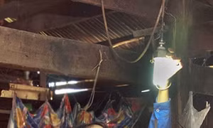 Người dân chung sức "kéo" điện về thôn