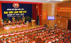 Đại hội đại biểu Đảng bộ các tỉnh: Đắk Lắc, Bến Tre, Điện Biên, Bình Thuận, Nghệ An.