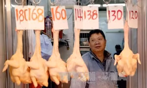 Chủ động phòng chống cúm A(H7N9) xâm nhập vào Việt Nam