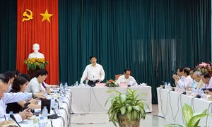 Bộ Y Tế khẳng định một số người dân ở Sóc Trăng bị mù lòa không phải do chất bảo quản hành tím