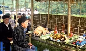Người Cao Lan cúng cơm mới