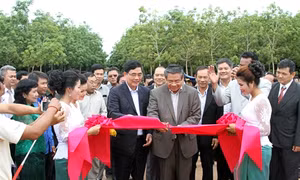Tập đoàn Cao su Việt Nam khánh thành nhà máy chế biến mủ cao su tại Campuchia