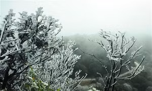 Vẻ đẹp băng tuyết trên đỉnh Phja Oắc