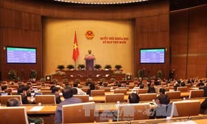 Quốc hội thông qua dự thảo Bộ luật Hình sự (sửa đổi) và Bộ luật Tố tụng hình sự (sửa đổi) 