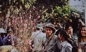 Cựu phóng viên AFP giới thiệu vẻ đẹp Việt Nam những năm 80