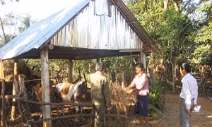 Thoát nghèo nhờ các chương trình, dự án hỗ trợ phát triển nông nghiệp