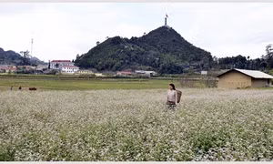 Thời tiết các khu vực trên cả nước chủ yếu ngày nắng, mưa nhỏ về đêm