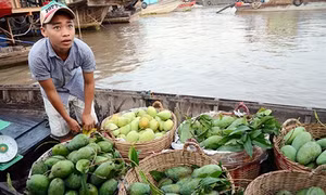 Hấp dẫn chợ nổi Cái Răng