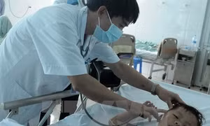 Hà Nội: 51 học sinh tiểu học Yên Sở bị ong đốt đã xuất viện