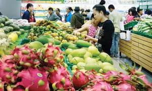 Phát huy tiềm năng, lợi thế đưa Đắk Nông phát triển nhanh, bền vững