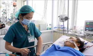 Cứu chữa thành công trường hợp rắn hổ mang chúa cắn nguy hiểm đến tính mạng