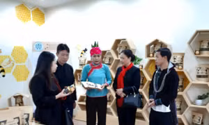 Khai trương Hợp tác xã Hoàng Liên của đồng bào dân tộc 