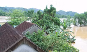 Nghệ An: Lũ lớn dâng cao vượt mốc lịch sử, nhiều bản làng bị chia cắt, cô lập