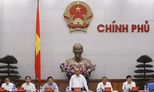 Liên quan đến hiện tượng hải sản chết tại các tỉnh ven biển miền Trung : Thủ tướng yêu cầu hỗ trợ ngư dân