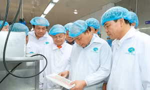 Thủ tướng Nguyễn Xuân Phúc thăm mô hình chế biến tôm tại Tập đoàn Thủy sản Minh Phú, Cà Mau