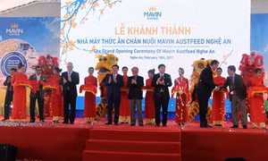 Phó Thủ tướng Vương Đình Huệ thăm, làm việc tại Nghệ An