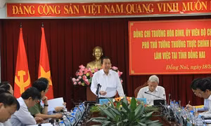 Phó Thủ tướng Trương Hòa Bình làm việc với cán bộ chủ chốt của tỉnh Đồng Nai