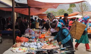 Phê duyệt Chương trình phát triển thương mại miền núi, vùng sâu, vùng xa và hải đảo 