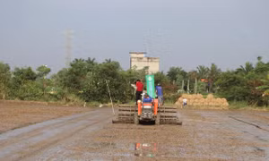 Đẩy mạnh phát triển kinh tế hợp tác trong nông nghiệp