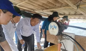 Ứng dụng công nghệ mới trong nuôi tôm giúp giảm giá thành sản xuất