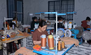 Điều chỉnh một số nội dung Chương trình phát triển kinh tế - xã hội vùng dân tộc thiểu số và miền núi 