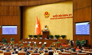  Quốc hội thông qua cơ chế, chính sách đặc biệt đầu tư Dự án điện hạt nhân Ninh Thuận