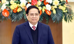 Phân công công tác của Thủ tướng và các Phó Thủ tướng Chính phủ
