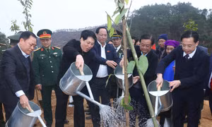 Chủ tịch nước Lương Cường: Mỗi cây xanh được trồng là một món quà vô giá cho thế hệ mai sau