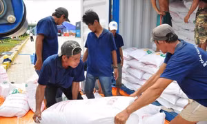 Hỗ trợ gạo cho tỉnh Sóc Trăng dịp Tết Nguyên đán Ất Tỵ