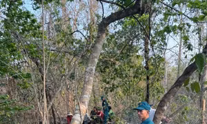 Phát hiện thi thể người thám hiểm trong hang động tại Đắk Nông