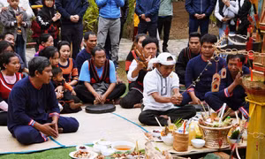 Lễ ăn mừng đầu lúa mới của đồng bào Raglai