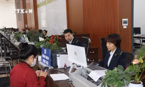 Lào Cai thu ngân sách Nhà nước tăng 41,5% so với dự toán Trung ương giao