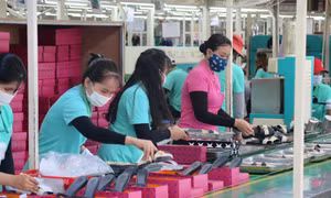 Công nhân nhà máy công ty TNHH Victory International (Việt Nam) đang hoàn thiện khâu đóng gói sản phẩm giày da nữ xuất khẩu. Ảnh: Minh Hưng