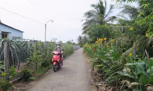Đường dẫn vào ấp Long Thành, xã Long Trì, huyện Châu Thành (Long An) đã được bê tông hóa, trồng hoa tạo cảnh quan và lắp hệ thống đèn chiếu sáng. Ảnh: Minh Hưng