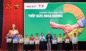 Hỗ trợ nguồn vốn giúp nông dân miền núi phát triển kinh tế