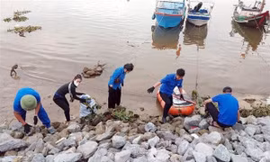 Tuổi trẻ chung tay bảo vệ môi trường, tạo cảnh quan du lịch