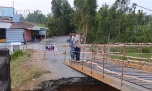 Hàng nghìn héc-ta đất sản xuất tại Sóc Trăng bị ảnh hưởng do sạt lở cống